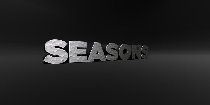 SEASONS - hammered metal finish text on black studio - 3D rendered royalty free stock photo. This image can be used for an online website banner ad or a print postcard.