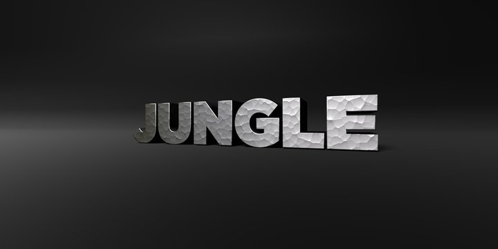 JUNGLE - hammered metal finish text on black studio - 3D rendered royalty free stock photo. This image can be used for an online website banner ad or a print postcard.