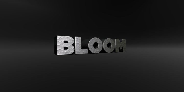 BLOOM - hammered metal finish text on black studio - 3D rendered royalty free stock photo. This image can be used for an online website banner ad or a print postcard.
