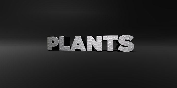 PLANTS - hammered metal finish text on black studio - 3D rendered royalty free stock photo. This image can be used for an online website banner ad or a print postcard.