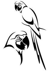 Wall Mural - parrot bird black and white vector outline