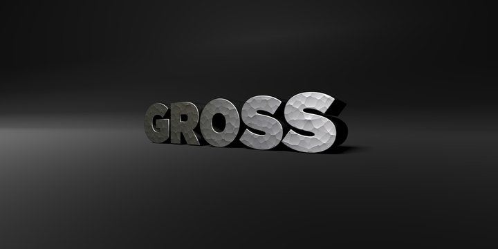 GROSS - hammered metal finish text on black studio - 3D rendered royalty free stock photo. This image can be used for an online website banner ad or a print postcard.