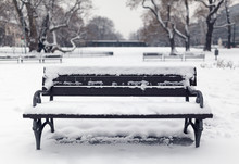 Benches In The Park In The Snow