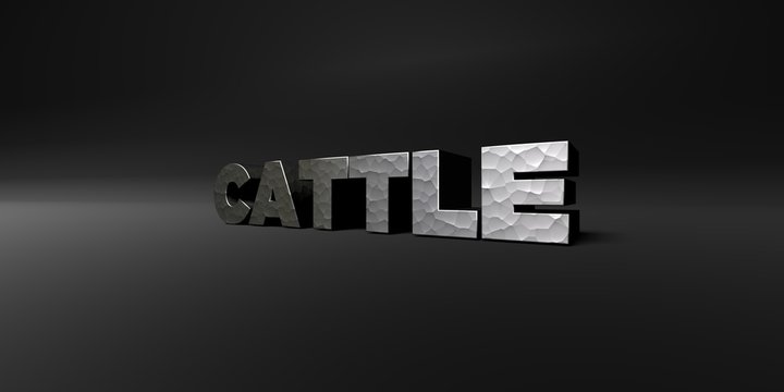 CATTLE - hammered metal finish text on black studio - 3D rendered royalty free stock photo. This image can be used for an online website banner ad or a print postcard.