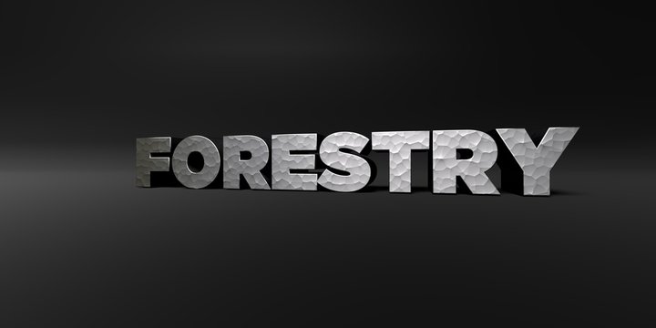 FORESTRY - hammered metal finish text on black studio - 3D rendered royalty free stock photo. This image can be used for an online website banner ad or a print postcard.