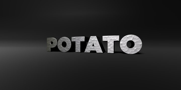 POTATO - hammered metal finish text on black studio - 3D rendered royalty free stock photo. This image can be used for an online website banner ad or a print postcard.