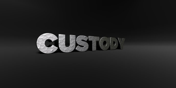 CUSTODY - hammered metal finish text on black studio - 3D rendered royalty free stock photo. This image can be used for an online website banner ad or a print postcard.