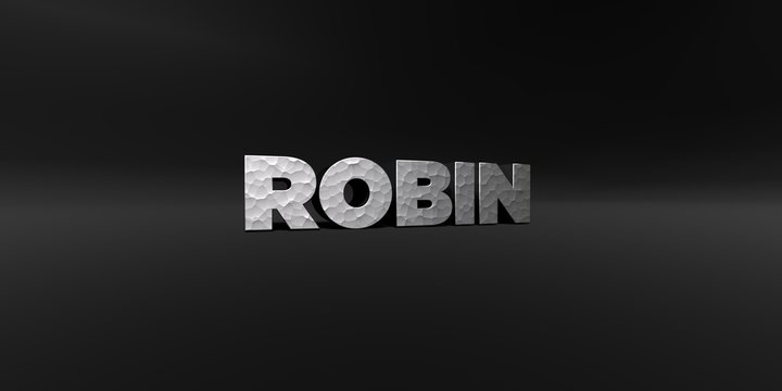 ROBIN - hammered metal finish text on black studio - 3D rendered royalty free stock photo. This image can be used for an online website banner ad or a print postcard.