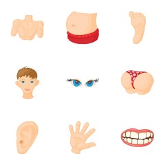 Sticker - Human body icons set. Cartoon illustration of 9 human body vector icons for web