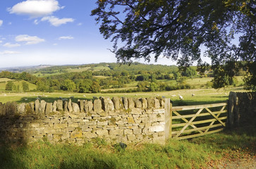 Canvas Print - cotswold landscape uk