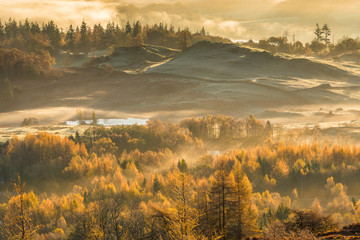 Wall Mural - frosty autumn landscape on a misty fresh morning in the lake district.