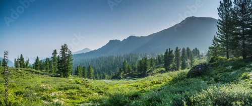 500_F_127187716_WBQ0RpHOTPpoRJv5oLaB8VTvn3bmMTEj.jpg