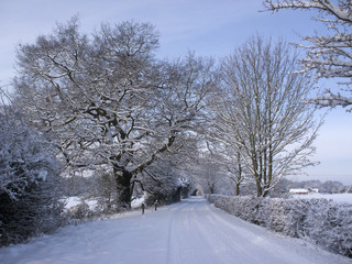 Sticker - winter landscape