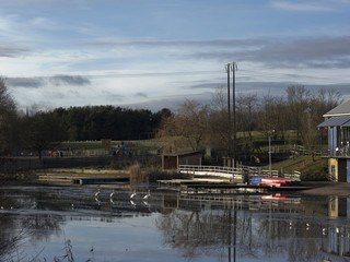 Sticker - country park