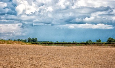 Canvas Print - plain summer landscape