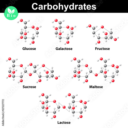 Cuadros en Lienzo General carbohydrates molecular structures