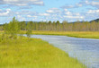 Northern landscape. River in Finnish Lapland