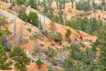 Sticker - People riding horses in Bryce Canyon National Park, Utah, USA