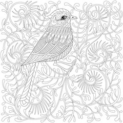 Wall Mural - Vector zentangle Bird. Cartoon exotic and tropical hummingbird o