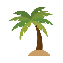 Tree Palm Isolated Icon Vector Illustration Design