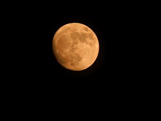 Wall Mural - full moon