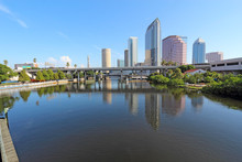 Partial Skyline And USF Park In Tampa, Florida