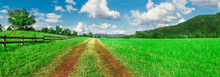 Beautiful Natural Green Grass Field With Dirty Road Pathway Under Blue Sky And Cloud,panorama Landscape.