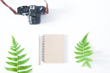 Flat lay of earth tone color notebook, pencil, camera and fern l