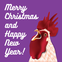 Beatiful Rooster With Violet Background. New Year Greeting Card.