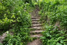 Path With Stairs In A Park