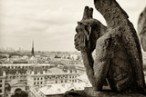 Fototapeta Fototapety Paryż - Pariyż Notre Dame Cimera 3