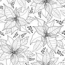 Vector Seamless Pattern With Contour Poinsettia Flower Or Christmas Star On The White Background. Outline Floral Artwork. Ornate Flowers And Leaves For Traditional Christmas Design And Coloring Book. 