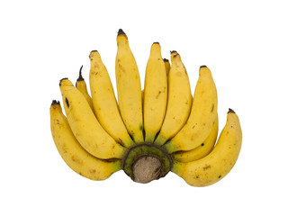 lebmuernang banana bunch isolated background