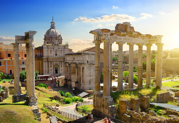 Wall Mural - Forum in Rome