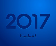 2017 Bleu 3D