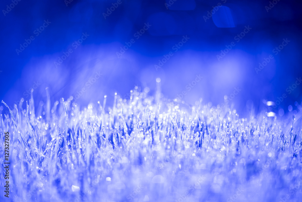 The grass covered with dew at dawn - obrazy, fototapety, plakaty 