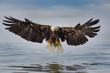 Eagle Landing