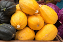 Cucurbita Pepo  - Organic Squash Pumpkin At Farmers Market