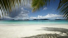 Palm Fronds And Beach At Salomon Bay, St John, United States Virgin Islands 