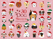 Set Of 30 Dog Breeds With Christmas And Winter Themes