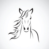 Fototapeta Konie - Vector of a horse head design on white background. Farm Animal. 