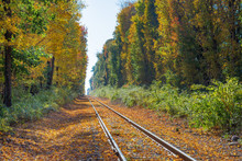 Autumn Leaves Cover Train Tracks In New England
