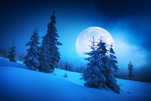 Moon Rise In A Winter Forest
