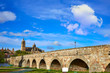 Salamanca skyline and roman bridge on Tormes