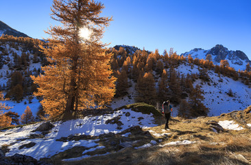 Poster - Female hiker enjoying the autumn colors in the Claree valley.