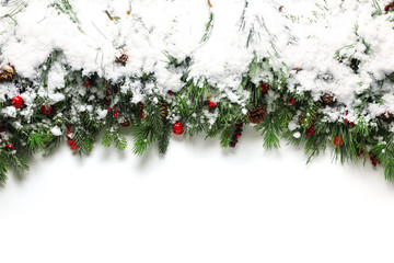 Wall Mural - christmas branches covered in snow