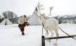 Reindeer breeder dressed in national Same clothes with a reinde