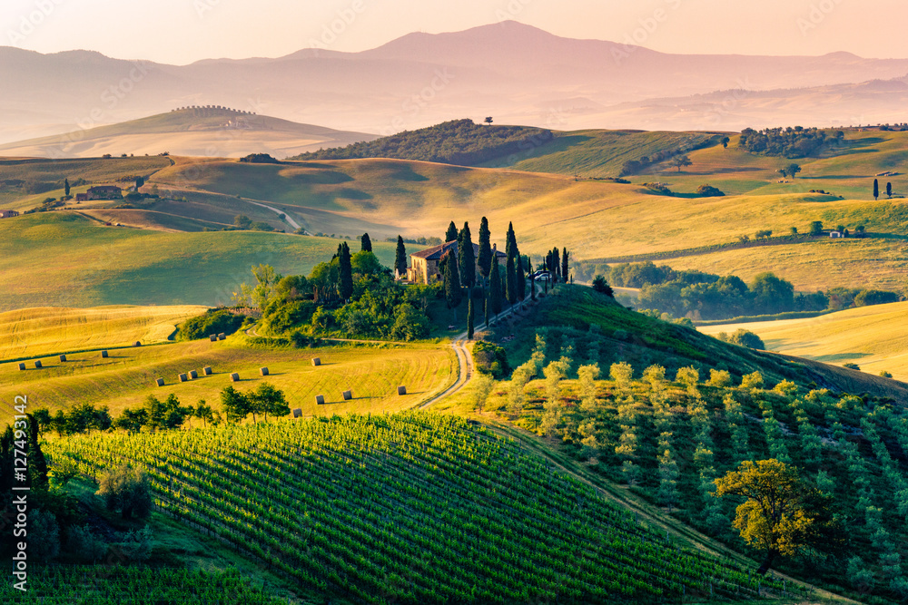 Tuscany, Italy. Landscape - obrazy, fototapety, plakaty 