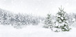 canvas print picture - Tannenbäume bei Schnee am Waldrand, helle Szene im Panorama Format für Weihnachten und Winter