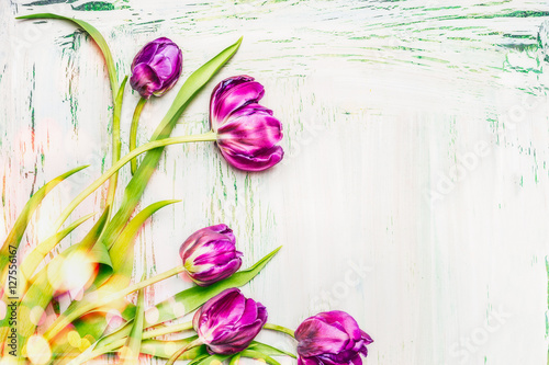 lovely-purple-tulips-bunch-on-white-wooden-background-spring-flowers-concept-floral-border